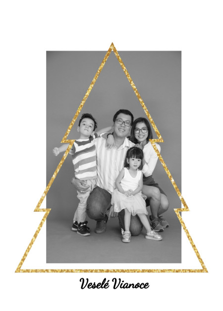 Vianočné a novoročné pozdravy - Šablóna ID 12934