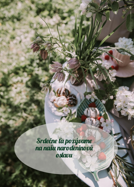 Pozvánky na oslavu - Šablóna ID 12987